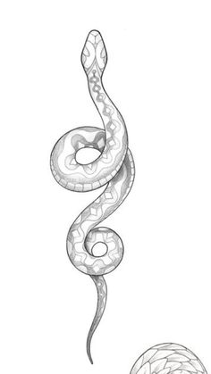 a drawing of a snake on a white background