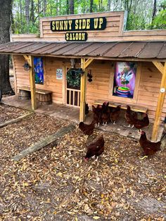 some chickens are walking around in front of a small building with a sign that says sunny side up saloon