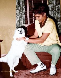 a man sitting on a couch petting a white dog