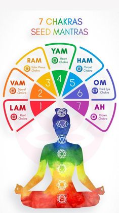 Mantras for the 7 Chakras Chakra For Beginners, 7 Chakras Meditation, Chakra Mantra, Chakra Healing Meditation, Chakra Health, Yoga Facts, Healing Mantras, Chakra Affirmations