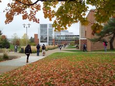 many people are walking on the sidewalk in front of some buildings and trees with fallen leaves