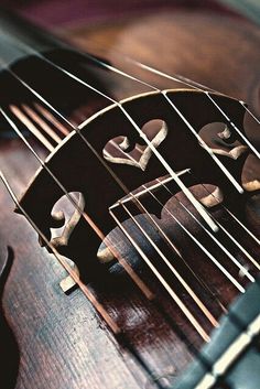 the strings of an old violin are very close together