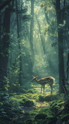 a deer standing in the middle of a forest with sunbeams shining through it