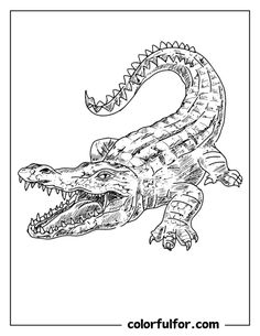 an alligator with its mouth open coloring page