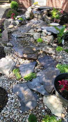 a garden with rocks and plants in it