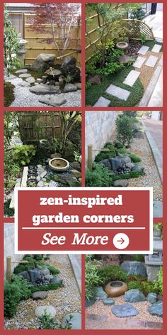 a series of photos showing different types of garden stones and plants in the same area