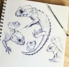 a drawing of an alligator and other animals on a paper with a pen next to it