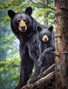 two black bears standing on top of a tree branch