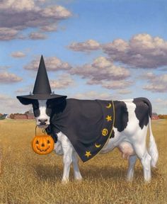 a black and white cow wearing a witches hat with a jack o lantern in it's mouth