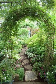 a garden with lots of plants and flowers