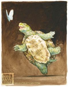 a drawing of a turtle with a butterfly on it's back and its mouth open