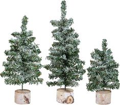 three potted trees are shown with snow on the top and bottom one is white