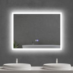 two white sinks in front of a mirror with lights above it and a plant on the counter