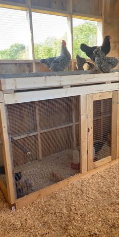 three chickens are standing on top of a chicken coop in the middle of an enclosed area