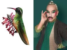 a woman with green makeup next to a photo of a hummingbird and the image of a man's face