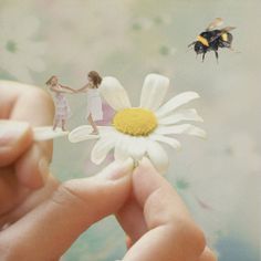 a person holding a flower in front of a bee