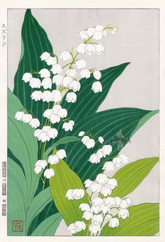 an image of white flowers on a green leafy plant with the words'photo'above it