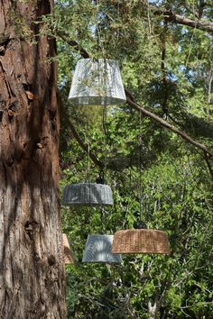 several different colored lamps hanging from trees in the woods