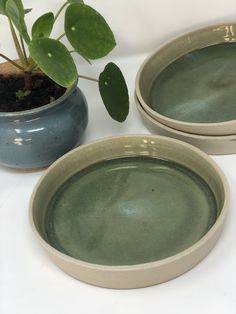 stoneware celadon green plate modern medium pottery Sage Green Kitchen, Mint Green Aesthetic, Crystal Room, Pastel Room, Apple Watch Wallpaper, Plant Mom, Farmer's Market, Clean Modern, Diy Clay