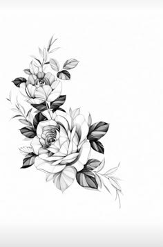 a black and white drawing of flowers with leaves on the bottom half of each flower