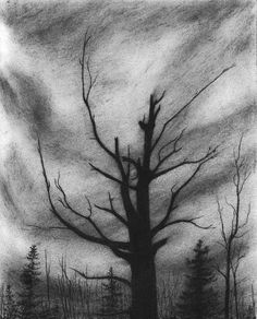 a black and white drawing of a tree with no leaves on the branches in front of a cloudy sky