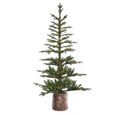 a small pine tree in a pot with lights on it's branches and leaves