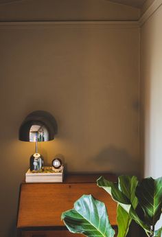 a potted plant sitting on top of a wooden table next to a mirror and lamp