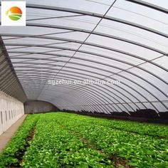 the inside of a large greenhouse with green plants growing in it and an orange sign on the wall