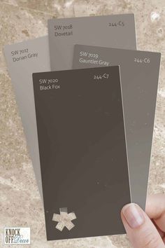 a hand is holding three different color swatches for the same paint chip, which are gray and white