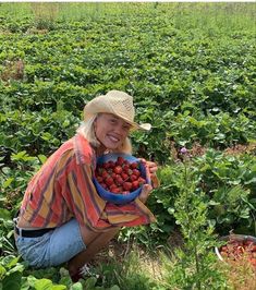 a woman holding a bowl full of strawberries in a strawberry field with other plants