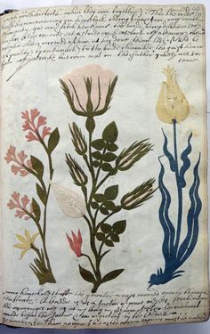 an old book with flowers and plants on it