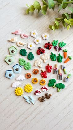 a bunch of different types of buttons sitting on top of a wooden table next to some plants