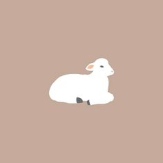 a white sheep sitting on top of a brown floor