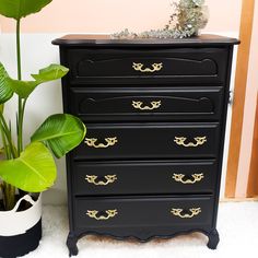 a black dresser with gold handles next to a potted plant