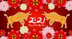 chinese new year card with two bulls and flowers