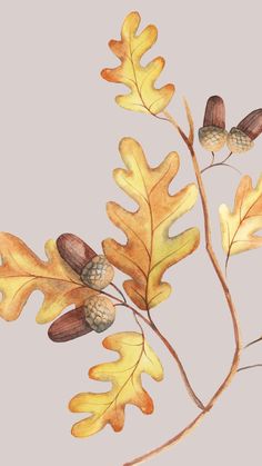 watercolor painting of yellow leaves and acorns