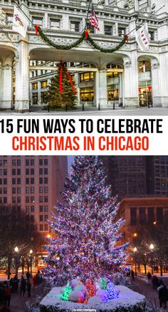 the christmas tree in chicago has been decorated with lights and garlands for everyone to enjoy