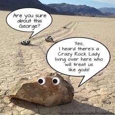 two rocks with googly eyes are in the middle of an empty desert, and one has