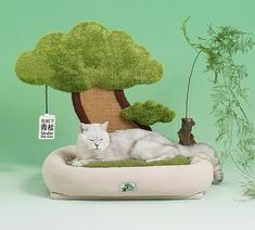 a white cat laying on top of a bed in front of a green tree and sign