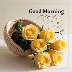 Cute Morning Quotes, Good Morning Animated Images, Good Night World, Good Morning Massage, Lovely Good Morning Images, Good Morning Flowers Rose, Good Night Everyone, Very Beautiful Flowers