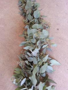 a bunch of green leaves on the ground