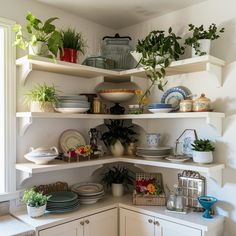 the shelves in this kitchen are filled with dishes and plants