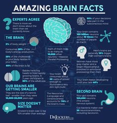 an info poster with the words, amazing brain fact and other things to know about it