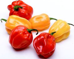 four peppers with yellow and red bell peppers on the top one pepper has green leaves