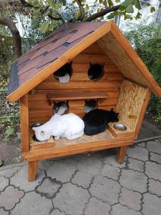 three cats sitting in a wooden cat house