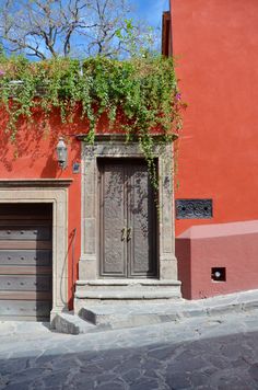 a red building with a wooden door and plant growing on it