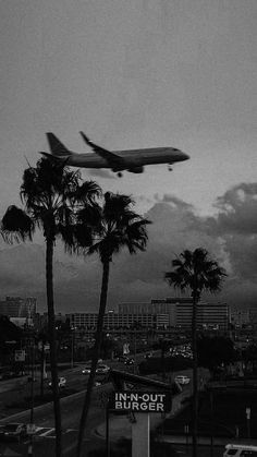 black and white photograph of an airplane taking off from the airport with palm trees in foreground