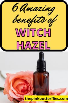 Discover all the good benefits of the plant: witch hazel, a perfect natural remedy from a tree that you should add to your natural and organic skincare routine. Benefits Of Witch Hazel, Plant Witch, Toner Pads, Witch Hazel Toner, Organic Skincare, Natural Remedy