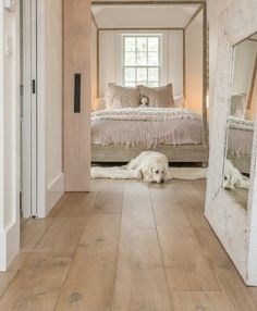 a white dog laying on the floor in front of a mirror and bed with pillows