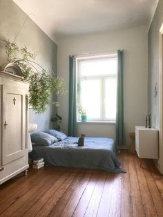 a bedroom with a bed, dresser and plant in it's corner on the floor